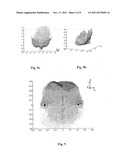 ARRANGEMENT AND METHOD FOR DETERMINING A BODY CONDITION SCORE OF AN ANIMAL diagram and image