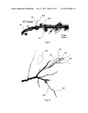 METHOD AND MEASURING SYSTEM FOR SCANNING MULTIPLE REGIONS OF INTEREST diagram and image