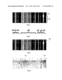 METHOD AND MEASURING SYSTEM FOR SCANNING MULTIPLE REGIONS OF INTEREST diagram and image