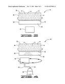 Device For Moving Magnetic Nanoparticles Through Tissue diagram and image