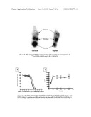 Nanogenerator diagram and image