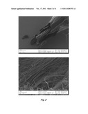 CARBON NANOTUBE FIBERS/FILAMENTS FORMULATED FROM METAL NANOPARTICLE     CATALYST AND CARBON SOURCE diagram and image