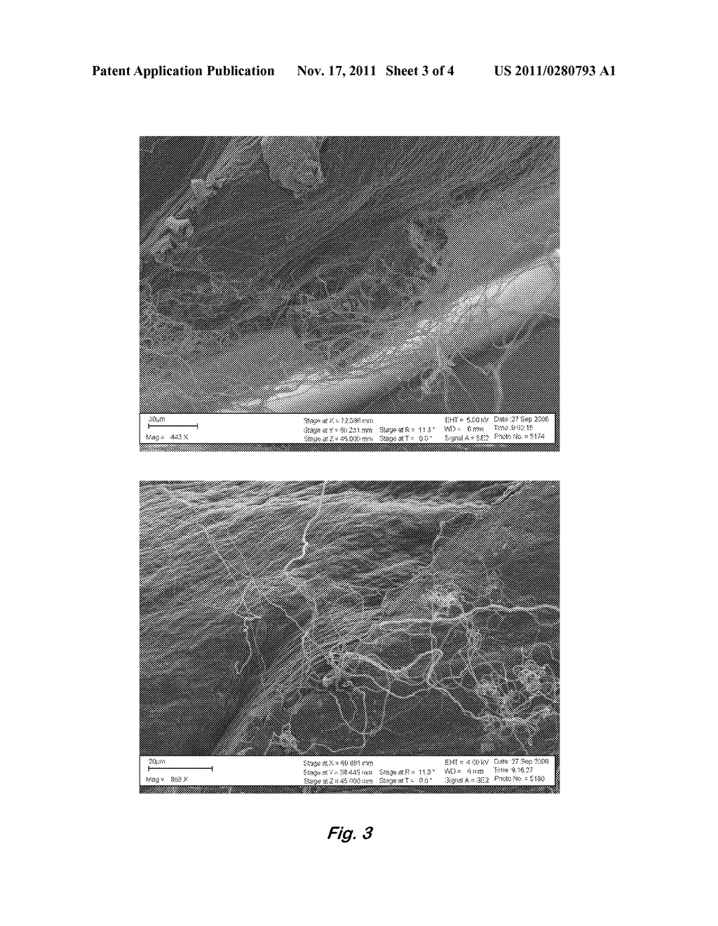 CARBON NANOTUBE FIBERS/FILAMENTS FORMULATED FROM METAL NANOPARTICLE     CATALYST AND CARBON SOURCE - diagram, schematic, and image 04