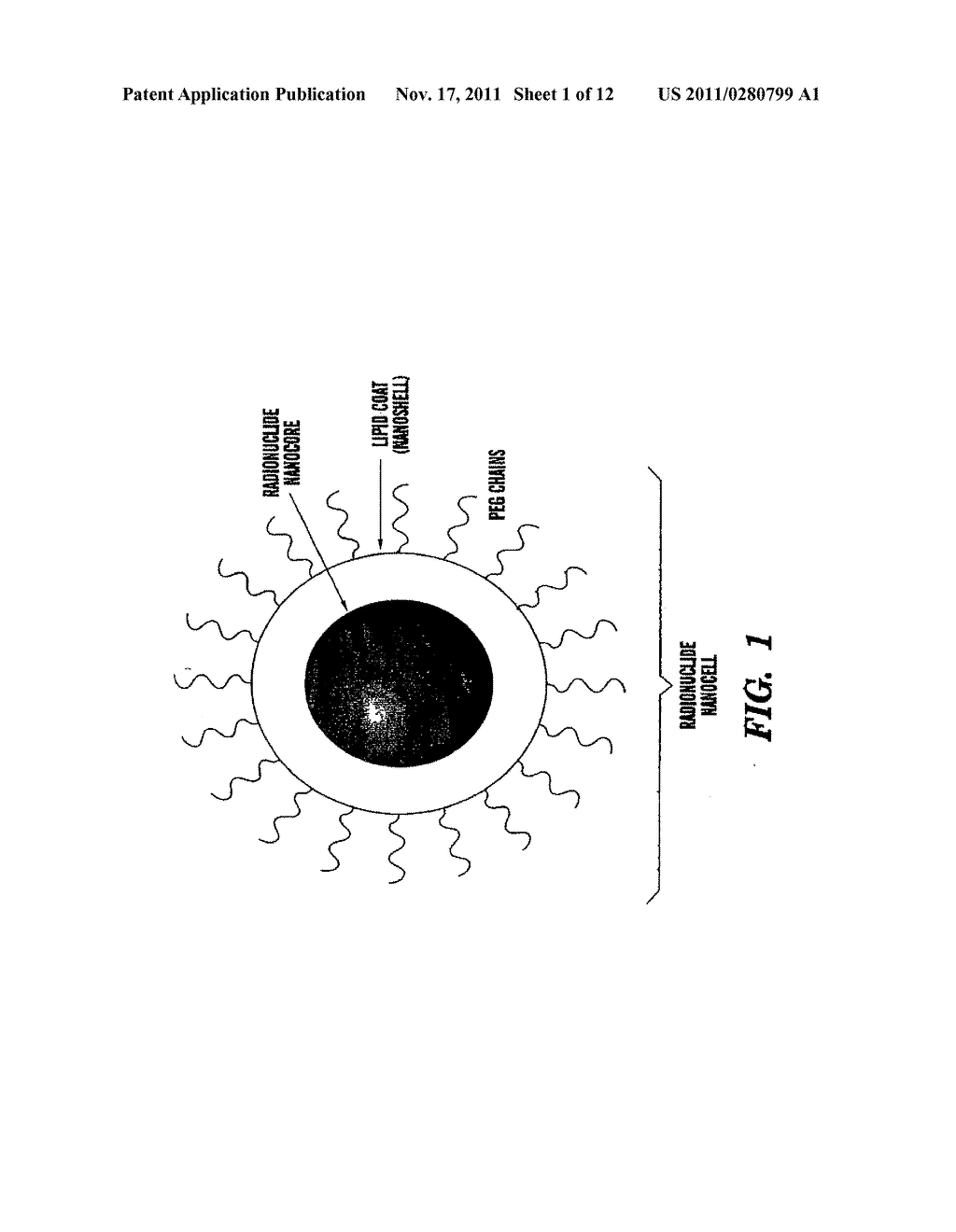 NANOCELLS FOR DIAGNOSIS AND TREATMENT OF DISEASES AND DISORDERS - diagram, schematic, and image 02