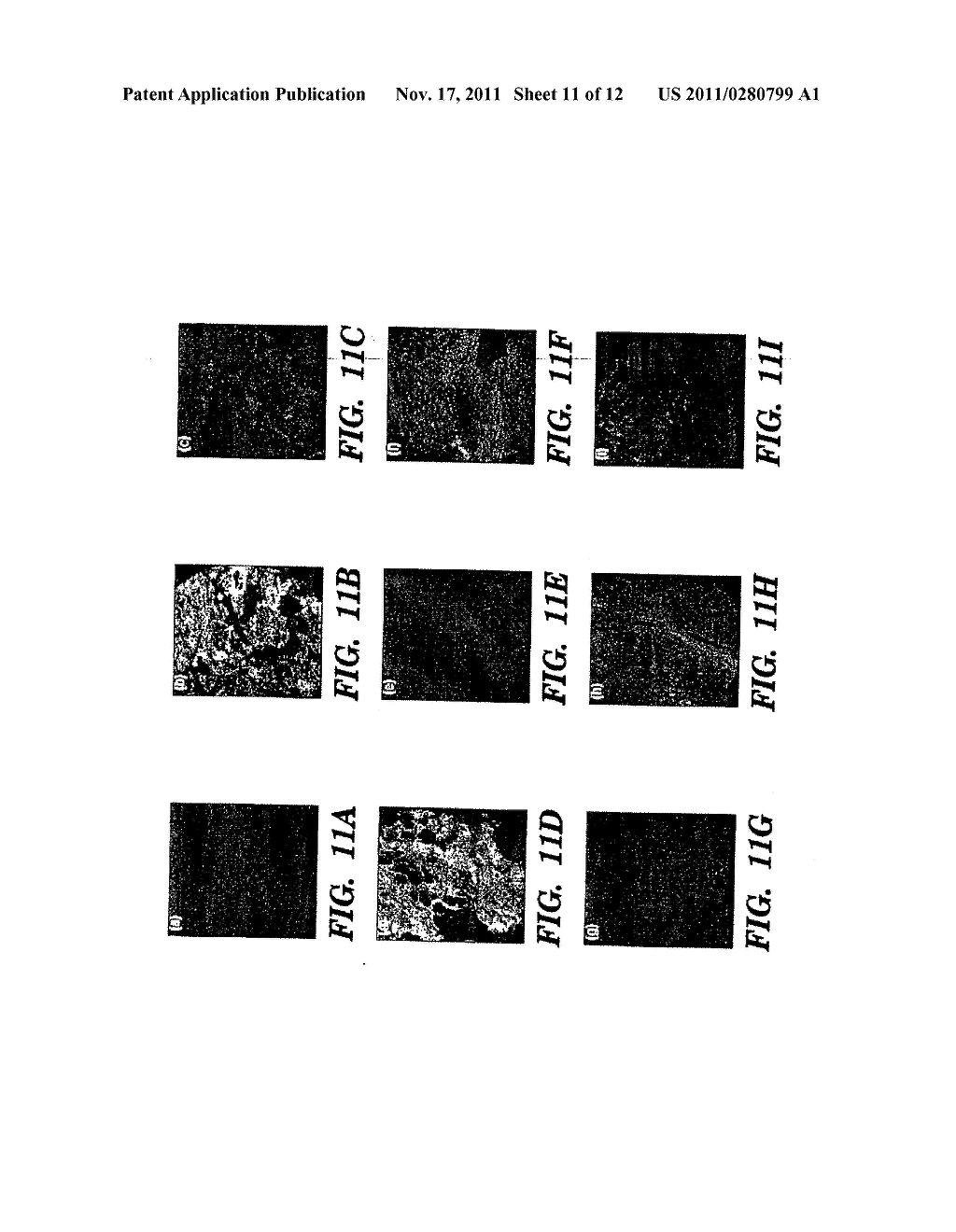 NANOCELLS FOR DIAGNOSIS AND TREATMENT OF DISEASES AND DISORDERS - diagram, schematic, and image 12