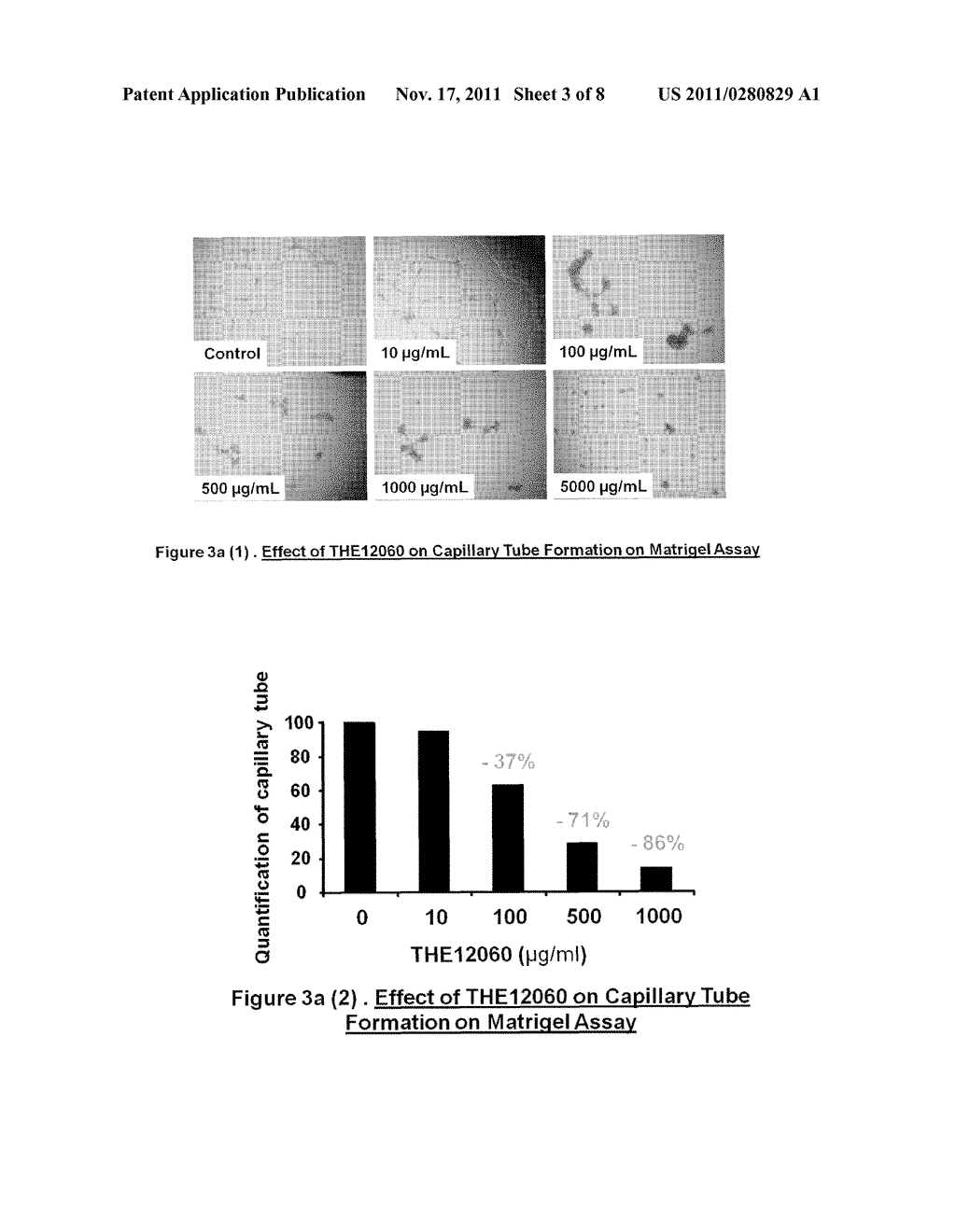 Low Molecular Weight Sulphated Polysaccharides as Candidates for     Anti-Angiogenic Therapy - diagram, schematic, and image 04