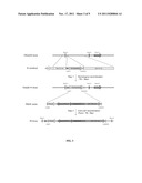 HEPATOCYTE PRODUCTION BY FORWARD PROGRAMMING diagram and image