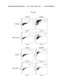 HEPATOCYTE PRODUCTION BY FORWARD PROGRAMMING diagram and image