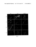 HEPATOCYTE PRODUCTION BY FORWARD PROGRAMMING diagram and image