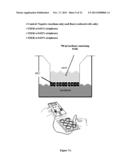 PHARMACEUTICAL COMPOSITIONS COMPRISING MONOTERPENES diagram and image