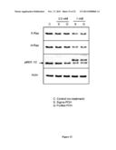 PHARMACEUTICAL COMPOSITIONS COMPRISING MONOTERPENES diagram and image