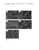 Low Viscosity Highly Concentrated Suspensions diagram and image