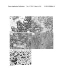 Low Viscosity Highly Concentrated Suspensions diagram and image