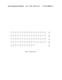 ANTI-CD 160 MONOCLONAL ANTIBODIES AND USES THEREOF diagram and image