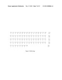 ANTI-CD 160 MONOCLONAL ANTIBODIES AND USES THEREOF diagram and image