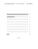 ANTI-CD 160 MONOCLONAL ANTIBODIES AND USES THEREOF diagram and image