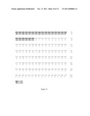 ANTI-CD 160 MONOCLONAL ANTIBODIES AND USES THEREOF diagram and image