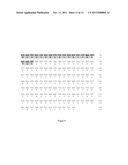 ANTI-CD 160 MONOCLONAL ANTIBODIES AND USES THEREOF diagram and image