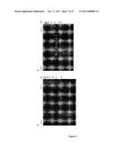 LEUKOLECTINS AND USES THEREOF diagram and image