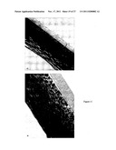 LEUKOLECTINS AND USES THEREOF diagram and image