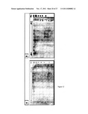 LEUKOLECTINS AND USES THEREOF diagram and image