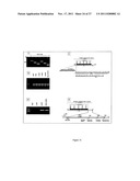 LEUKOLECTINS AND USES THEREOF diagram and image