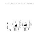 IMMUNOTHERAPEUTIC METHOD USING ALLO-CELLS WHICH CO-EXPRESS CD1d AND TARGET     ANTIGEN diagram and image