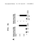 IMMUNOTHERAPEUTIC METHOD USING ALLO-CELLS WHICH CO-EXPRESS CD1d AND TARGET     ANTIGEN diagram and image