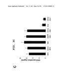 IMMUNOTHERAPEUTIC METHOD USING ALLO-CELLS WHICH CO-EXPRESS CD1d AND TARGET     ANTIGEN diagram and image