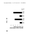 IMMUNOTHERAPEUTIC METHOD USING ALLO-CELLS WHICH CO-EXPRESS CD1d AND TARGET     ANTIGEN diagram and image