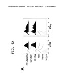 IMMUNOTHERAPEUTIC METHOD USING ALLO-CELLS WHICH CO-EXPRESS CD1d AND TARGET     ANTIGEN diagram and image