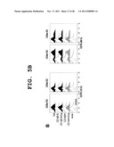 IMMUNOTHERAPEUTIC METHOD USING ALLO-CELLS WHICH CO-EXPRESS CD1d AND TARGET     ANTIGEN diagram and image