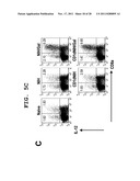 IMMUNOTHERAPEUTIC METHOD USING ALLO-CELLS WHICH CO-EXPRESS CD1d AND TARGET     ANTIGEN diagram and image