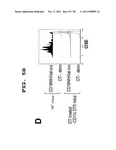 IMMUNOTHERAPEUTIC METHOD USING ALLO-CELLS WHICH CO-EXPRESS CD1d AND TARGET     ANTIGEN diagram and image