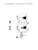 IMMUNOTHERAPEUTIC METHOD USING ALLO-CELLS WHICH CO-EXPRESS CD1d AND TARGET     ANTIGEN diagram and image