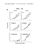 IMMUNOTHERAPEUTIC METHOD USING ALLO-CELLS WHICH CO-EXPRESS CD1d AND TARGET     ANTIGEN diagram and image