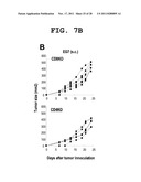 IMMUNOTHERAPEUTIC METHOD USING ALLO-CELLS WHICH CO-EXPRESS CD1d AND TARGET     ANTIGEN diagram and image