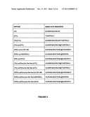 Novel Immunogenic Lipopeptides Comprising T-Helper And Cytotoxic     T-Lymphocyte (CTL) Epitopes diagram and image