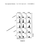 Novel Immunogenic Lipopeptides Comprising T-Helper And Cytotoxic     T-Lymphocyte (CTL) Epitopes diagram and image