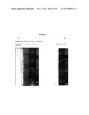 CANCER VACCINE COMPOSITIONS AND METHODS OF USING THE SAME diagram and image