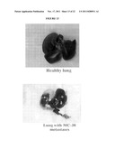 CANCER VACCINE COMPOSITIONS AND METHODS OF USING THE SAME diagram and image