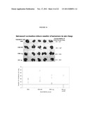 CANCER VACCINE COMPOSITIONS AND METHODS OF USING THE SAME diagram and image