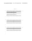 Human Immunodeficiency Virus And Uses Thereof diagram and image