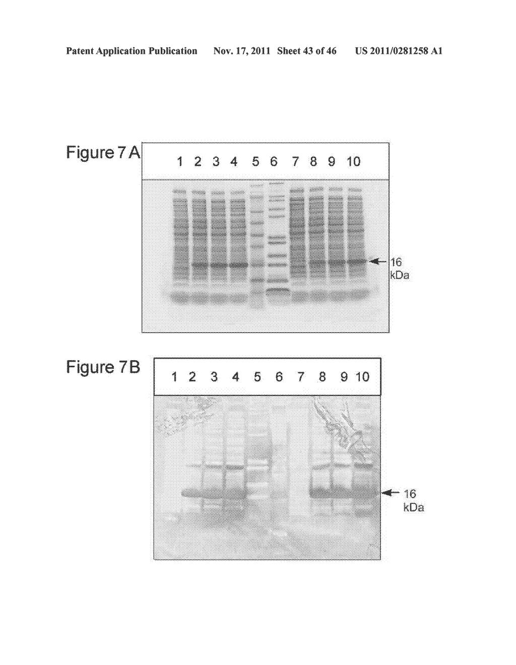 Human Immunodeficiency Virus And Uses Thereof - diagram, schematic, and image 44