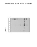 Human Immunodeficiency Virus And Uses Thereof diagram and image