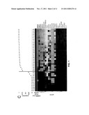 EFFICIENT DETECTION OF DOUBLE MUTANTS OF THE CEBPA GENE IN ACUTE MYELOID     LEUKEMIA diagram and image