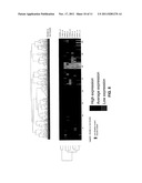 EFFICIENT DETECTION OF DOUBLE MUTANTS OF THE CEBPA GENE IN ACUTE MYELOID     LEUKEMIA diagram and image