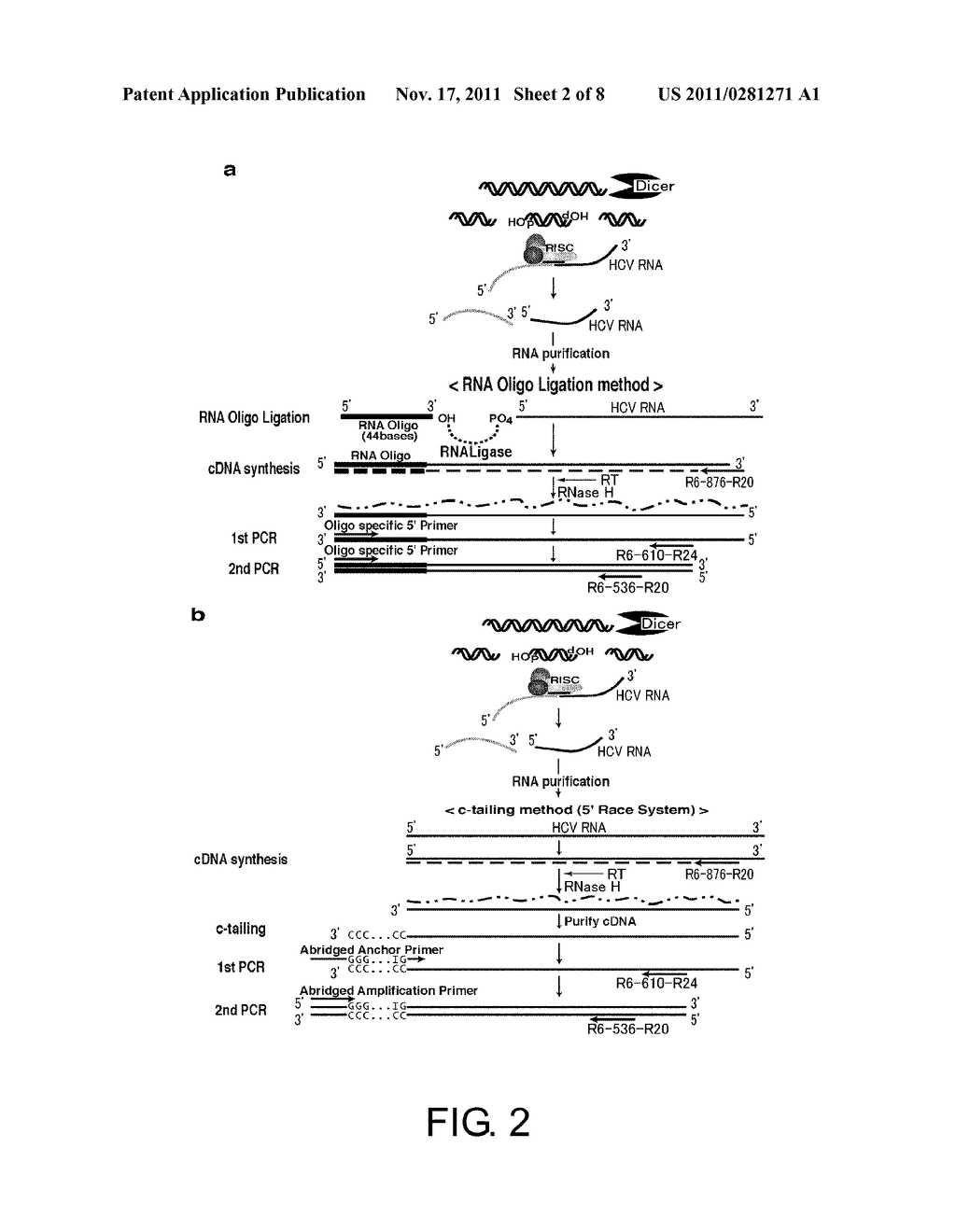 Oligoribonucleotide or Peptide Nucleic Acid Capable of Inhibiting Activity     of Hepatitis C Virus - diagram, schematic, and image 03