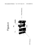 Recombinant Pokeweed Antiviral Proteins, Compositions and Methods Related     Thereto diagram and image