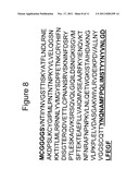 Recombinant Pokeweed Antiviral Proteins, Compositions and Methods Related     Thereto diagram and image